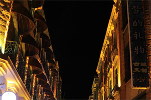 Exploring the night food hotspots in Shanghai, nine must-try recommendations that you should not miss.